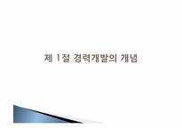 [인적자원개발론] 제 6장 경력 개발-3