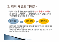 [인적자원개발론] 제 6장 경력 개발-7
