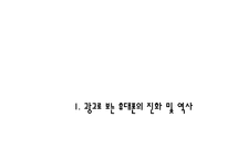 [소비자심리] 휴대폰 광고 트렌드-4