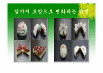 중국의 명절과 기념일-15