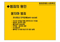 [사회문제론] 범죄문제와 사회복지-6