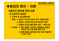 [사회문제론] 범죄문제와 사회복지-11