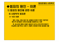 [사회문제론] 범죄문제와 사회복지-19