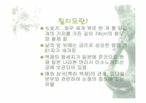 칠지도와 임나일본부-4
