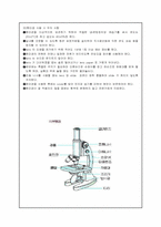 현미경의 구조와 종류 및 사용법-4