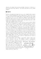 건전지의 원리와 특성 분석-4