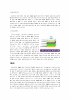 건전지의 원리와 특성 분석-6