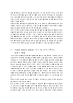 미국 테러 사건의 국제사회의 이해-6