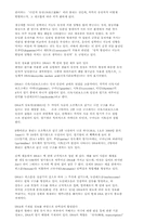 탄생의 신비 레포트-3