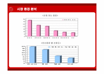 [마케팅] 다국적기업 코카콜라의 마케팅 전략-9