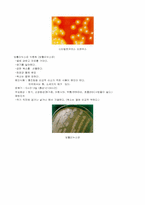 미생물학의 발전에 대한 분석-7