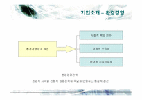 [마케팅] 유한킴벌리 화이트의 마케팅 전략-7