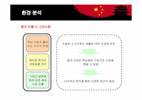 [마케팅] 오리온 초코파이의 중국 마케팅-12
