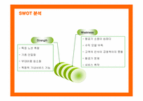 [마케팅] 제주항공의 마케팅 전략 제안-15