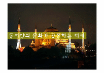국제관광 터키를 가다!-1