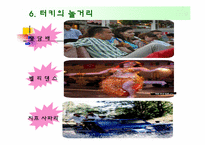 국제관광 터키를 가다!-19