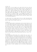 [마케팅] 삼성전자 애니콜의 중국시장 진출 마케팅 전략-4