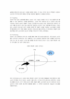 [마케팅] 삼성전자 애니콜의 중국시장 진출 마케팅 전략-7