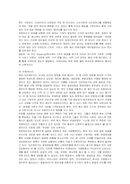 [경영전략] 크라제버거의 마케팅과 전략 분석-13