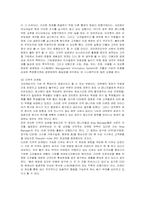 [경영전략] 크라제버거의 마케팅과 전략 분석-15