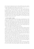 [중국] 대만문제-11