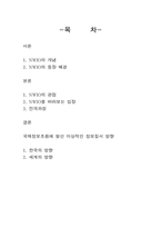 NWIO(신국제정보질서)의 등장-2