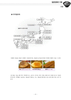 [일본문화] 라멘, 에키벤-5