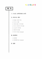 [국제매너] 두바이 DUBAI의 국제매너-1