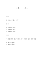[국제커뮤니케이션] 국제정보의 균형적 유통을 위한 New world information order(NWIO)-2
