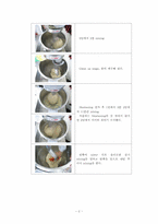 [곡류가공실험] Raisin Pan Bread 만들기-2