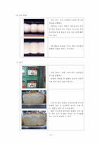 [곡류가공실험] White Pan Bread 만들기-10