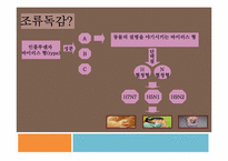 [생물] 조류독감의 문제점, 해결책-4