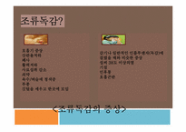 [생물] 조류독감의 문제점, 해결책-6