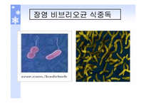 [식품위생학] 식중독에 대하여-11
