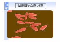 [식품위생학] 식중독에 대하여-18
