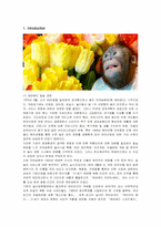 [마케팅] 에버랜드의 서비스 마케팅 전략-1