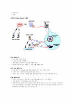 KTF의 요금 정책에 대한 이해와 분석-13