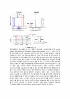 [고분자개론 설계] 자발성 손씻기 설계-5
