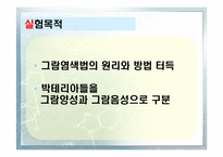 [화학공학실험] 그람염색법과 박테리아관찰-3