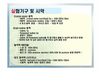 [화학공학실험] 그람염색법과 박테리아관찰-8