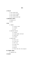 [문학] 세일즈맨의 죽음 작품분석-2