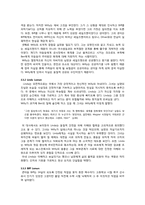 [문학] 세일즈맨의 죽음 작품분석-8