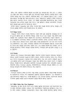 [문학] 세일즈맨의 죽음 작품분석-9