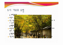 [도시조경론] 9장 도시의가로, 상가-6