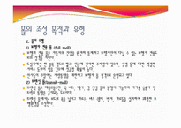 [도시조경론] 9장 도시의가로, 상가-10
