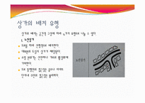 [도시조경론] 9장 도시의가로, 상가-16