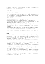 [카지노산업론] 오스트리아 카지노-11