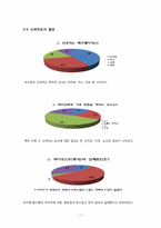 롯데칠성음료 가상 저 알코올 맥주시장진출 마케팅 전략-11
