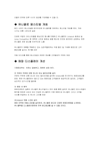 UNIQLO 유니클로 마케팅전략-18