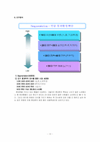 삼성 애니콜의 마케팅 전략-10